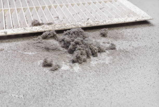 Best Air Vent Cleaning Services  in Bells, TX
