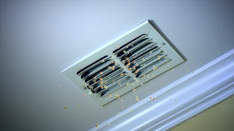 Best Commercial Air Duct Cleaning  in Bells, TX