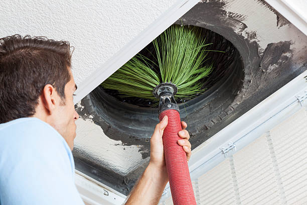 Best Dryer Vent Cleaning Services  in Bells, TX